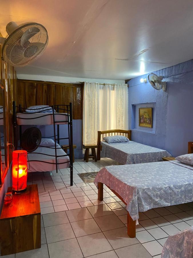 Mauras Tropical Mini Hostel & Tours Пакера Екстериор снимка