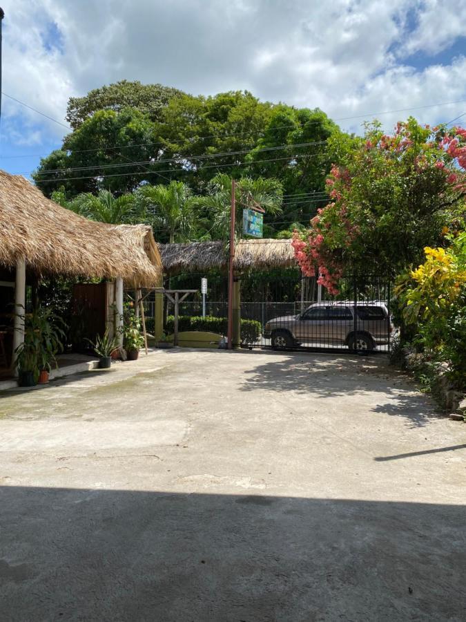 Mauras Tropical Mini Hostel & Tours Пакера Екстериор снимка